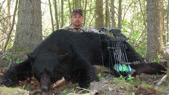 bear-solo