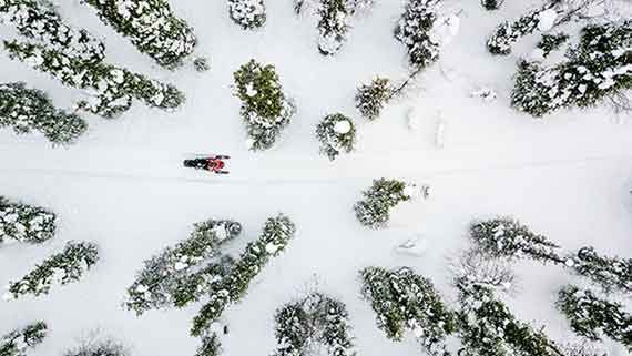 winterwilderness